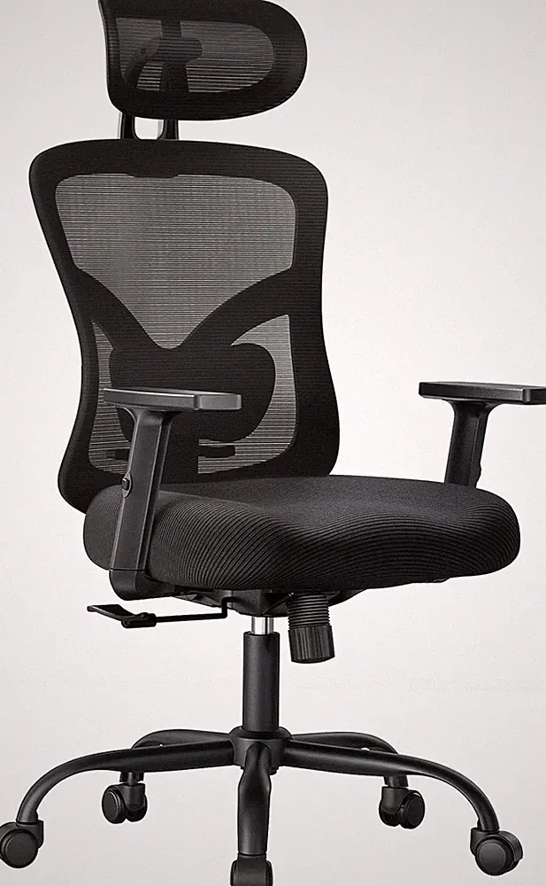 Ergonomic Office Chair with Padded Lumbar Support, 2D Headrest, Adjustable Armre